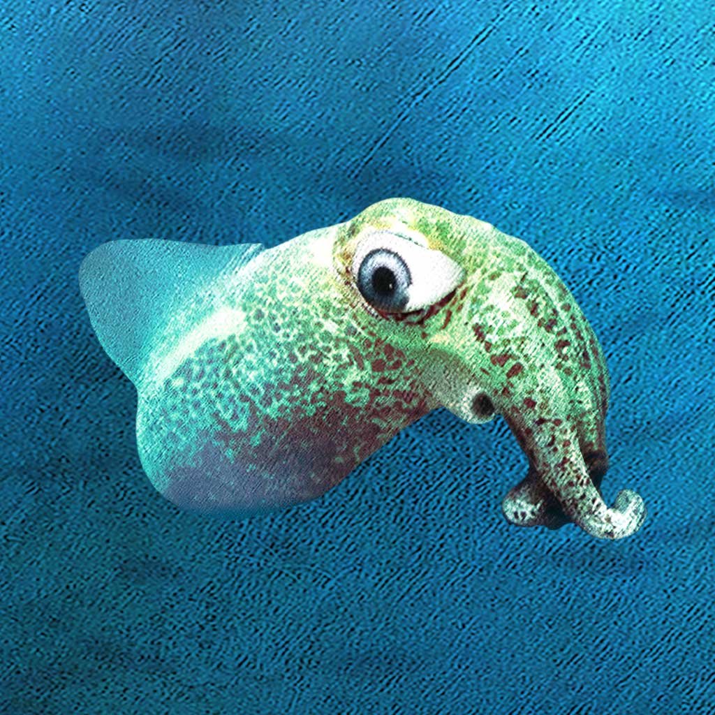 The Spooo Who Grew app icon image