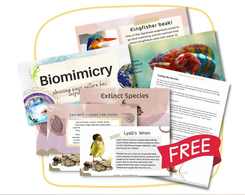 Free school resources